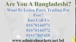 Free Forex Trading Education in Bangladesh for Everyone