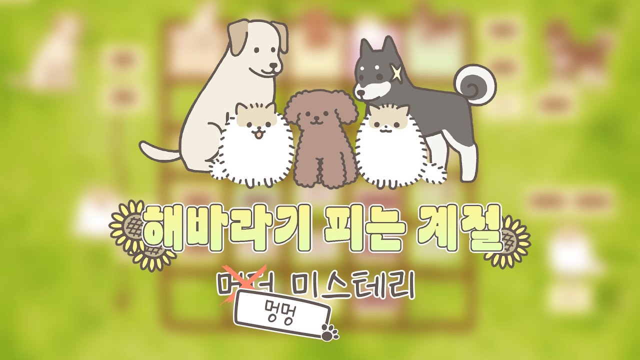 해바라기 피는 계절 ┃ 팀 에라이