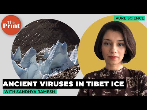 Ancient viruses dating back over 40,000 years found in Tibet ice. What their genomes tell us