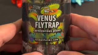 Did Garbage Flytraps Improve?