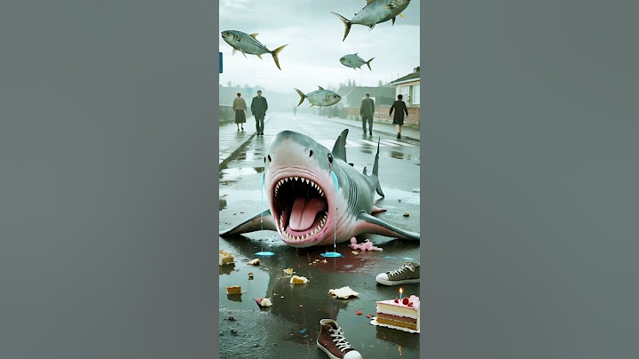 Sad Baby Shark’s Birthday Gone Wrong 😢 | Heartbreaking Rainy Day Story #babyshark #tralala #shark