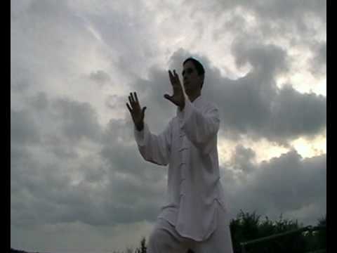 Zhi Chui - Old Yang Taijiquan - Angel Mesa