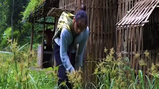 Homeless Mother Finds an Abandoned House – A New Beginning ❤️