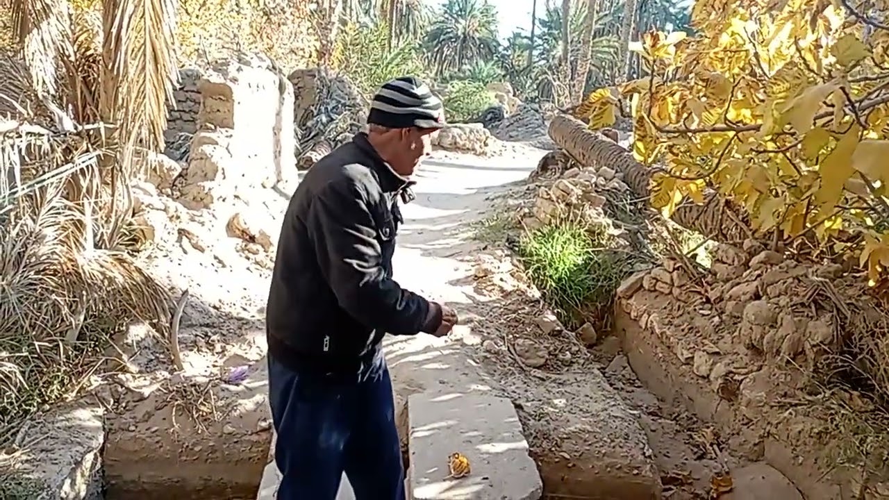 22 ديسمبر 2025