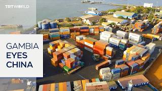 China's tariff-free policy boosts Gambia's cashew hopes