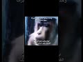 انا وابوي جاي على اساس ياخدني من مدرستي القديمة  ضحك فرفشة ميمز تحشيش لايك