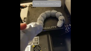 New Articulated Onix
