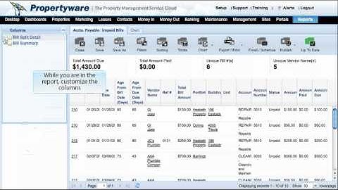 Propertyware Reporting
