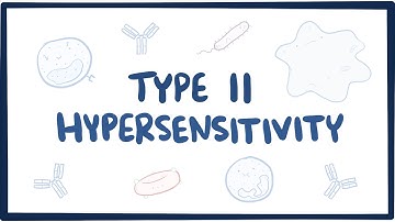 Type II hypersensitivity (cytotoxic hypersensitivity) - causes, symptoms,  & pathology