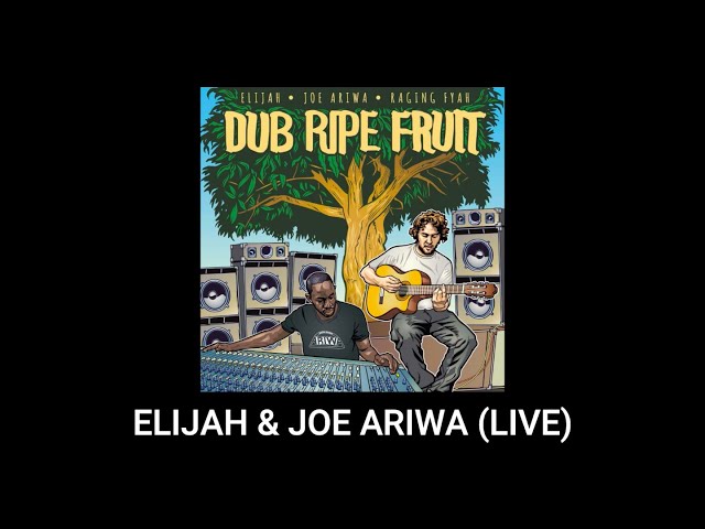 Dub Ripe Fruit - Elijah & Joe Ariwa {Live Dubshow in Zurich, Switzerland}