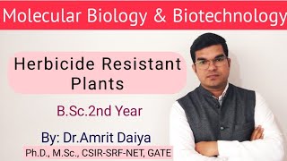 Herbicide Resistant Plants|| खरपतवारनाशी रोधी पादप||Hindi & English|| B.Sc.|| By: Dr.Amrit Daiya