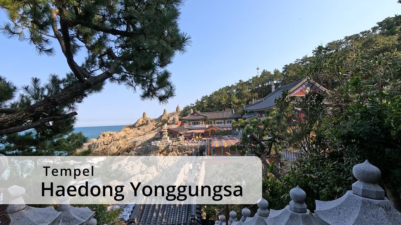 Südkoreas Küstenzauber: Skywalk und Tempel