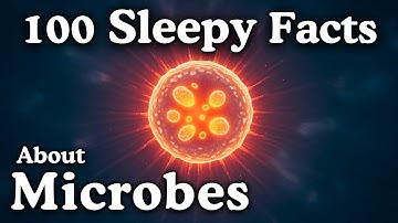 The Most Relaxing Facts About Microbes to Fall Asleep To