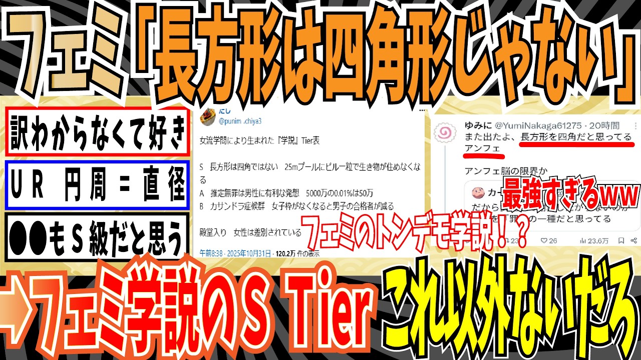 【フェミ学問】X民さん「ツイフェミさんのTier表作ったぞ」➡トンデモ学説が多すぎた結果ｗｗ【ゆっくり ツイフェミ】