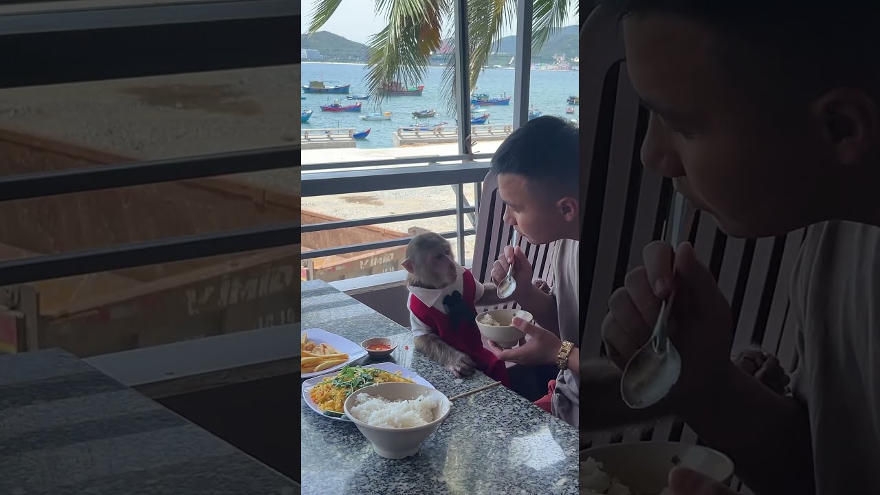 Cutis Enjoys A Meal At Luxury Restaurant