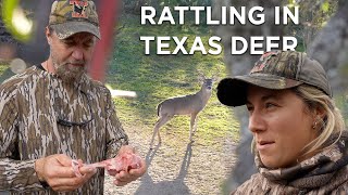 Deer Hunting South Texas