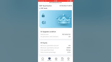 ✔️How To Make Money✔️$110 to $235 on January 14✔️h5.defiquantify.com from ITP✔️DQF Review #money