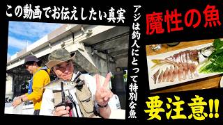 アジは魔物 【アジの魔力に負けた釣人の物語】