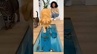 funny dogs 🐶🤣