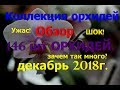 Шок!  Обзор Орхидейного богатства. 146 шт орхидей в доме 2018год