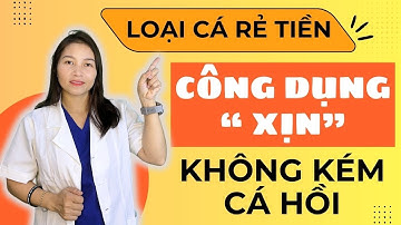 “Cá Rẻ Tiền Nhưng Công Dụng ‘Xịn’ Không Kém Cá Hồi – Bạn Tin Không?”| Dược Sĩ Hiếu