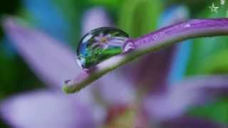 Obsidia Ft  CoMa - Beautiful (Dubstep) 1080p
