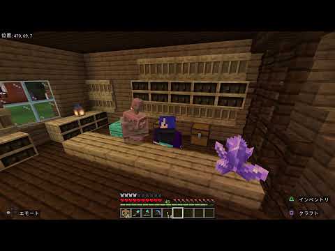 マイクラ建築垂れ流し配信(眠りのお供に)