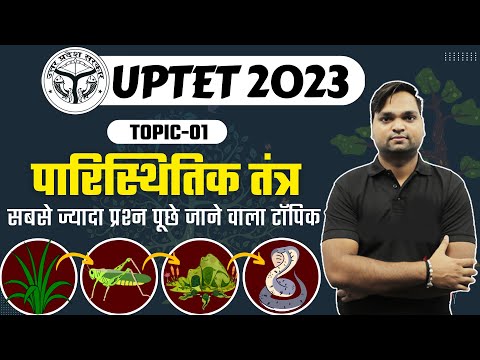 UPTET 2023 | SCERT EVS | Topic-01 पारिस्थितिक तंत्र BY DK Academy