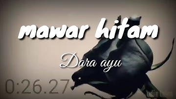 DARA AYU (MAWAR HITAM) VIDEO LIRIK