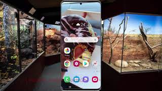 Samsung Galaxy S20 : How to enable use wide angle for group selfies in camera (Android 11) screenshot 4