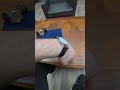 Patek Philippe — коли стриманість дорожча за блиск.