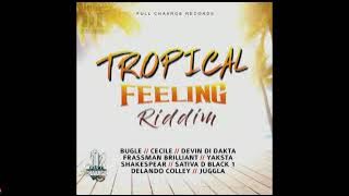 Tropical Feeling Riddim Mix (Full)Cecile, Devin Di Dakta, Frassman Brilliant & more x Drop Di Riddim