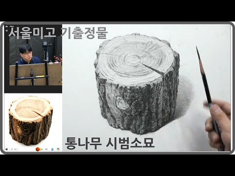 서울미고 2025학년도 <strong>실기시험</strong> 기출정물 통나무소묘시범