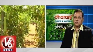 Techniques for Vegetables Cultivation - State Agriculture Commissioner L Venkatarami Reddy-Sagubadi