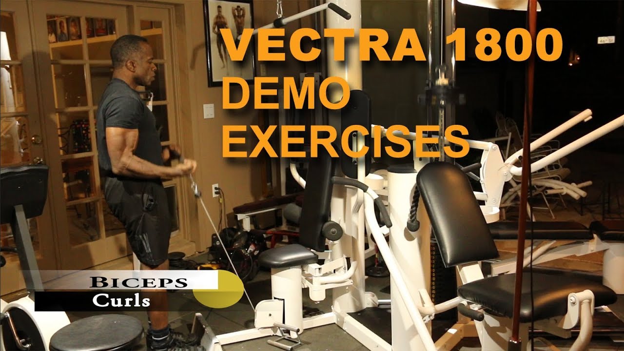 Vectra Workout Chart