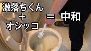 【閲覧注意】2年間掃除されていないトイレを掃除してみた