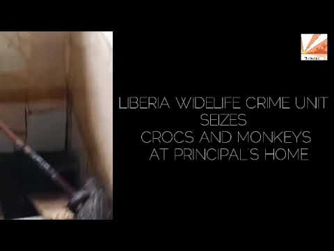 Liberia's Special Wildlife Investigation Unit