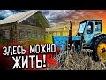 ОГРОМНАЯ ЗАБРОШЕННАЯ ДЕРЕВНЯ | Есть электричество и вода | Как выживает русская глубинка?