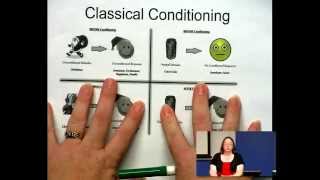 Classical Conditioning - Some Example with Dr Z