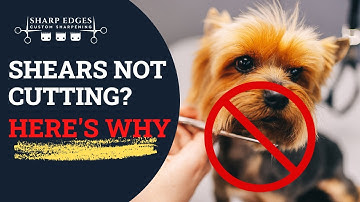 Why do shears fold hair?  Shears not cutting.