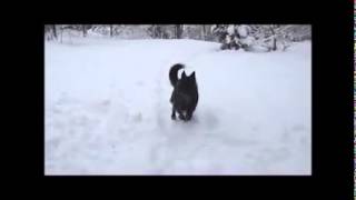 Revloch Fashion LOVES winter by Clyrholm 233 views 9 years ago 1 minute, 44 seconds