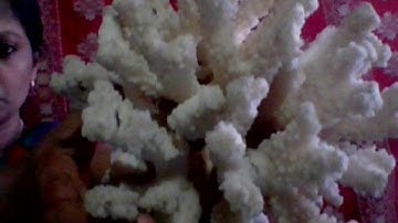 FDP mooc course training video 2