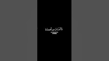 سورة التغابن الآية: 11 | الشيخ رعد الكردي حفظه الله #قرآن #قران_كريم #اكسبلور #ياسر_الدوسري