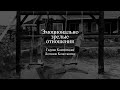 «Эмоционально зрелые отношения» | Галина Каменецкая, Логинов Константин