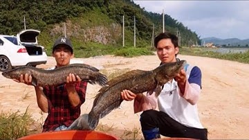 Câu Cá Lóc Hàn Quốc || Pha Lên Cá Kinh Điển || Korea Fishing || #dhtchannel