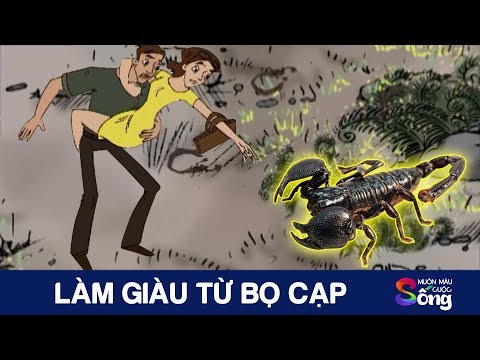 LÀM GIÀU TỪ BỌ CẠP - Truyện Cổ Tích Hay Nhất | Phim Hoạt Hình | Khoảnh Khắc Kỳ Diệu
