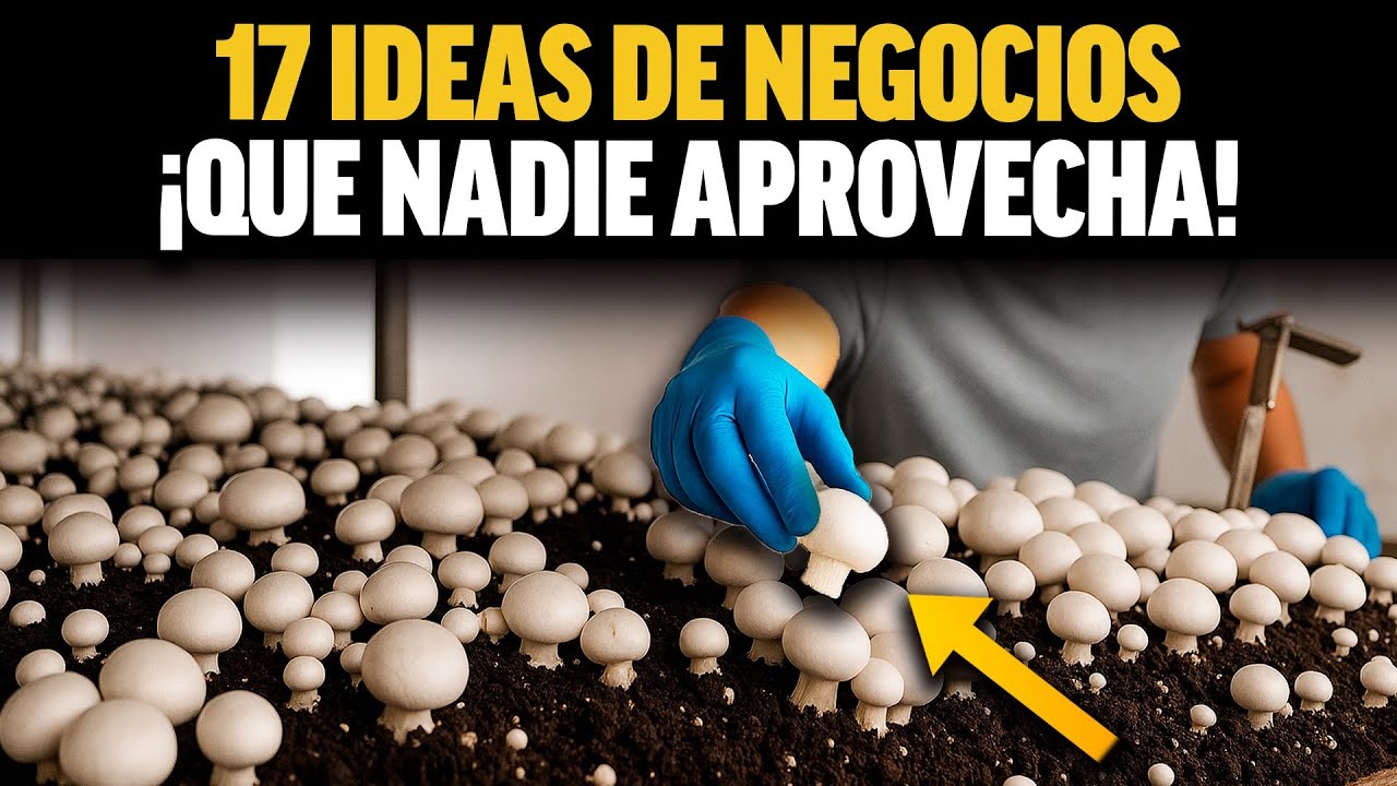 17 NEGOCIOS Que NADIE APROVECHA y POCOS CONOCEN (Muy Rentables) 💰 - YouTube