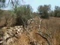 كل ما تبقى من ذكرين منذ النكبة كل ما تبقى من ذكرين منذ النكبة