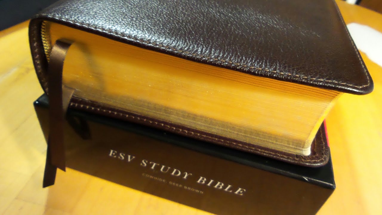 Esv Study Study Bible Deep Brown Cowhide Youtube