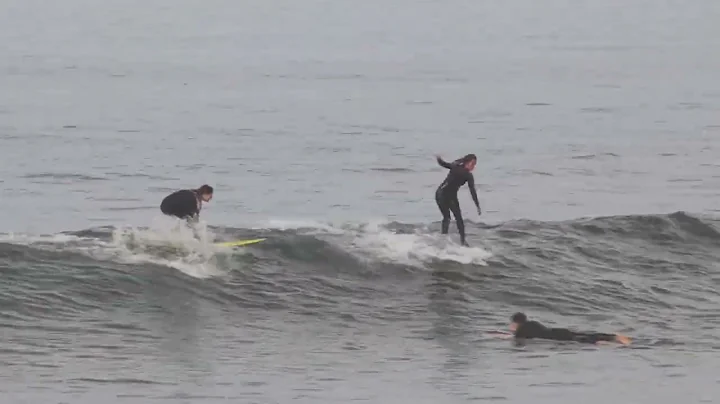 Mauricio Rips